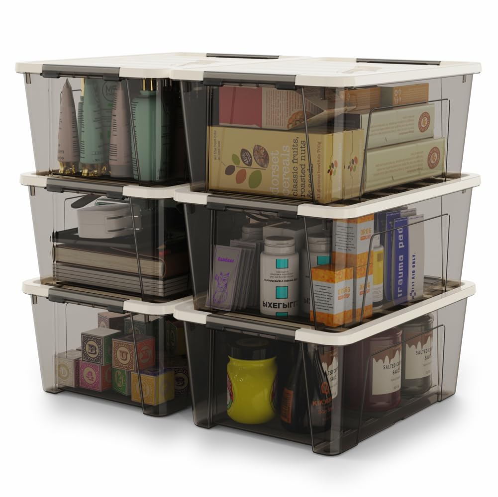 WYT Clear Storage Latch Bins, 6-Pack Storage Organizer Box with Handle and Lids, 5-Litre