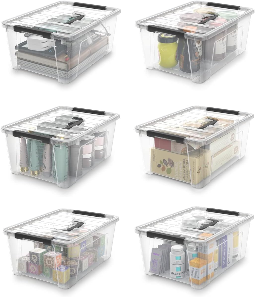 WYT Clear Storage Latch Bins, 6-Pack Storage Organizer Box with Handle and Lids, 5-Litre