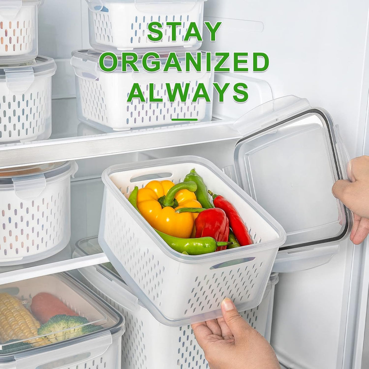 5 PCS Large Fruit storage Containers for Fridge ,Food Storage Containers